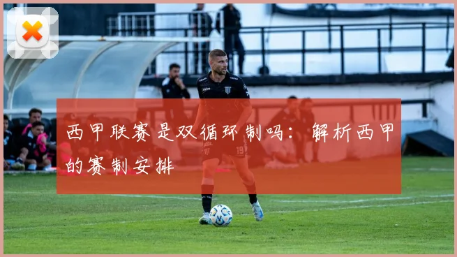 西甲联赛是双循环制吗：解析西甲的赛制安排