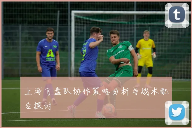 上海飞盘队协作策略分析与战术配合探讨