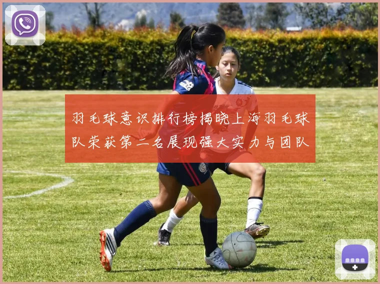 羽毛球意识排行榜揭晓上海羽毛球队荣获第二名展现强大实力与团队合作