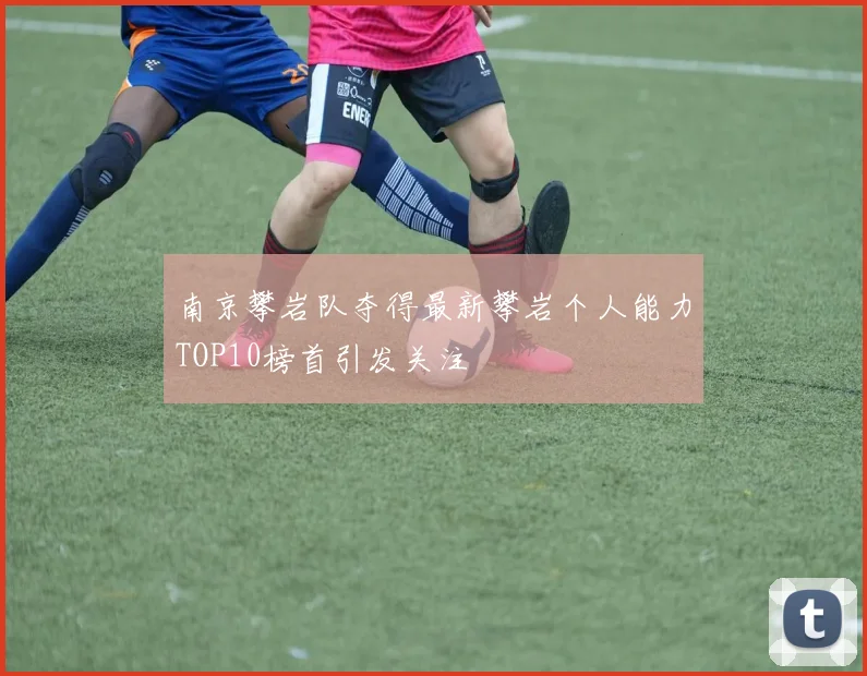 南京攀岩队夺得最新攀岩个人能力TOP10榜首引发关注